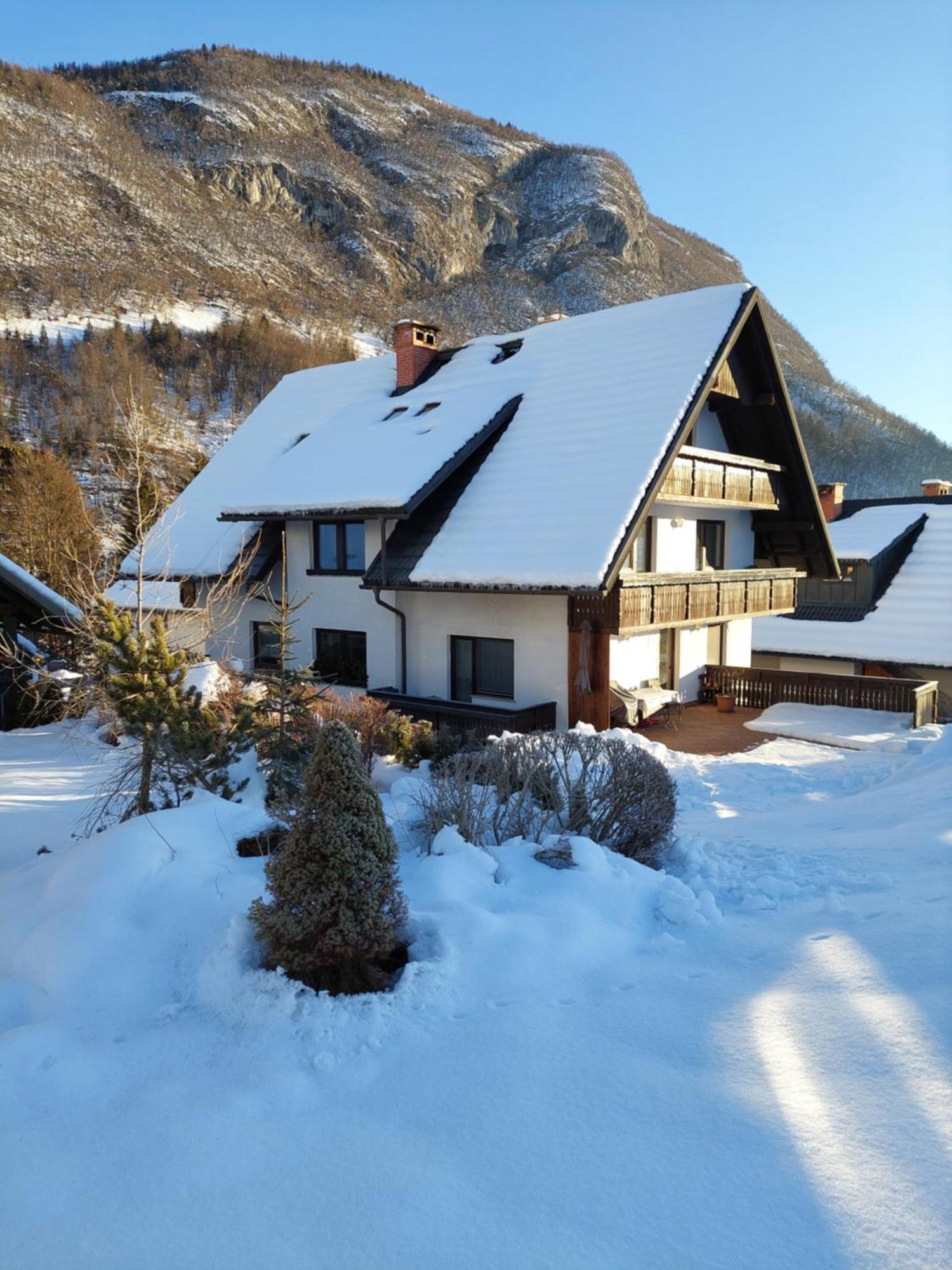 Apartmaji Vesna Apartment Bohinj ภายนอก รูปภาพ