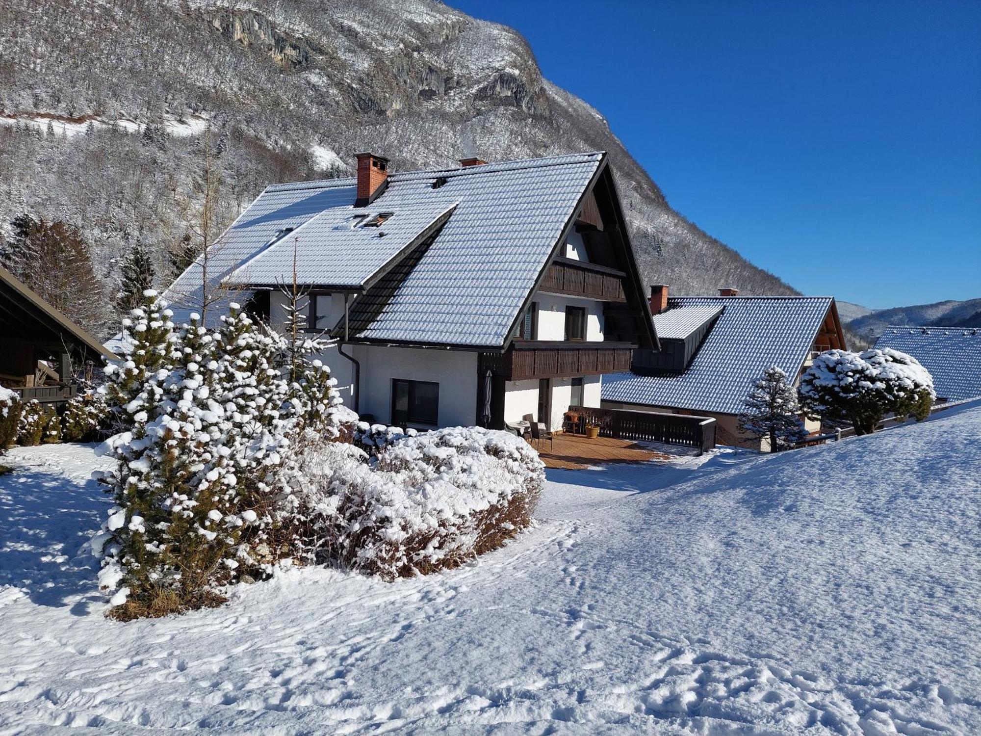 Apartmaji Vesna Apartment Bohinj ภายนอก รูปภาพ